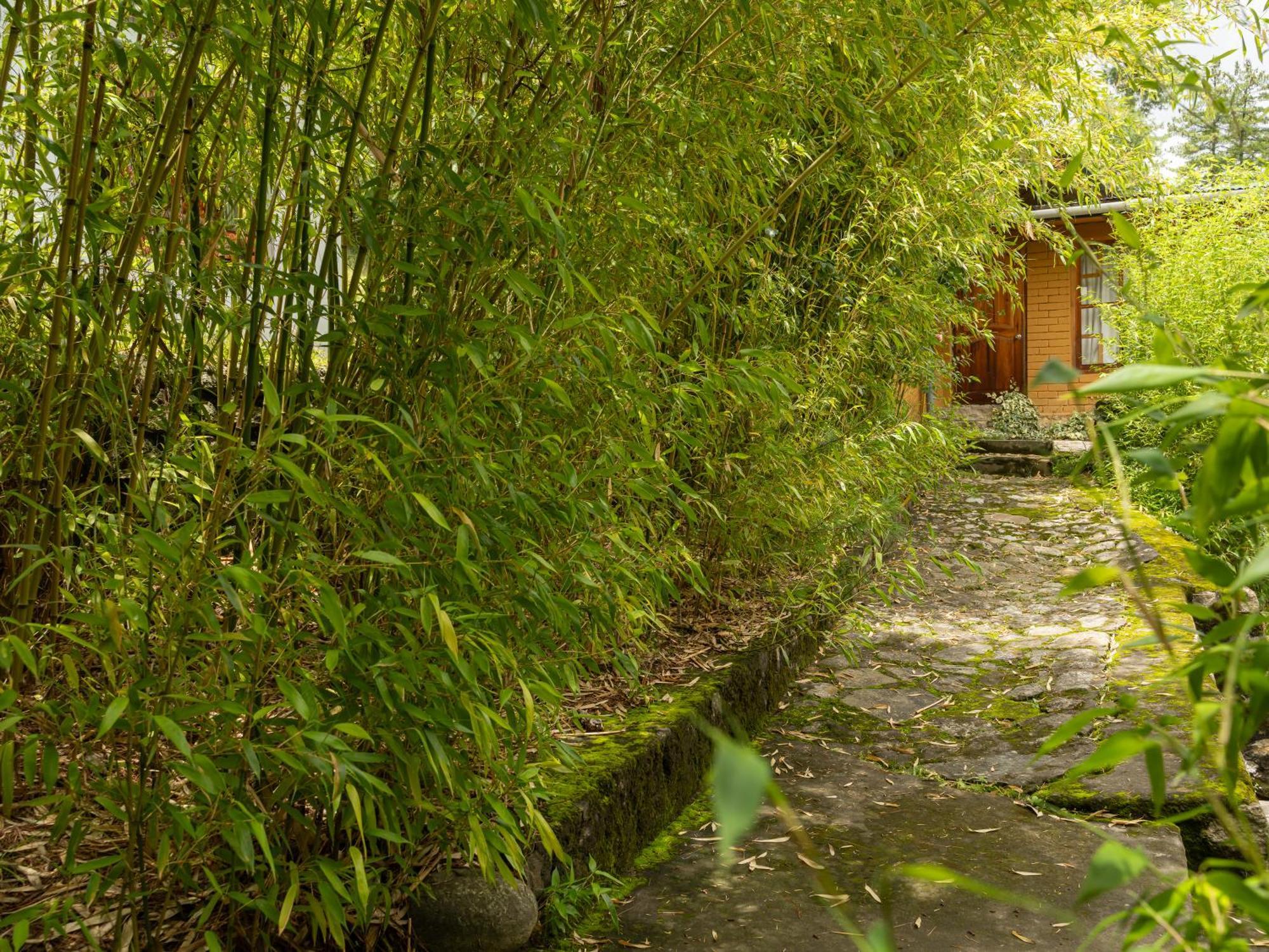 Tiger'S Nest Resort - Best Resort In Paro Exterior foto